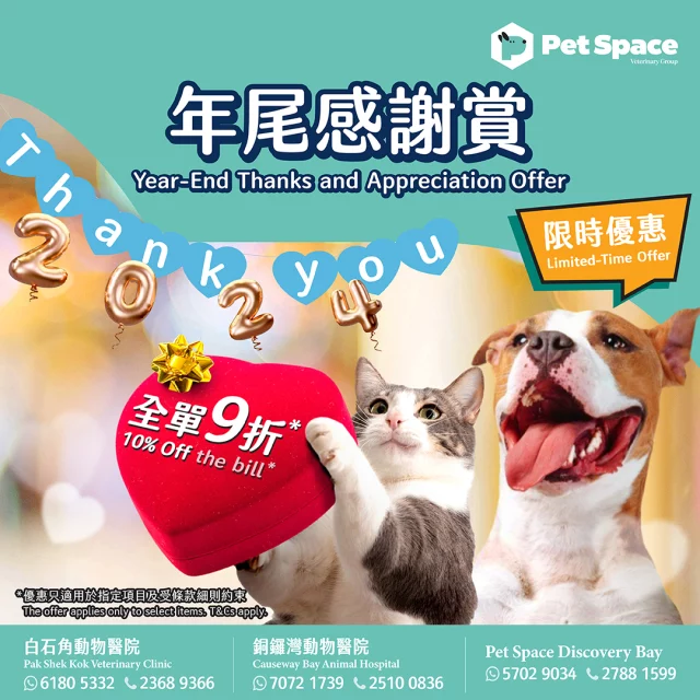 【Pet Space 指定獸醫診所 | 限時年尾感謝賞🎊】
號外 📢 有好消息帶給大家! 為感謝各位一直以來的支持，我們特別推出年尾感謝優惠！即日起於指定診所惠顧診所服務 / 處方糧訂購，全單可獲9 折優惠*！家長們萬勿錯過！🎉🎉

診所服務包括及並不限於：
✅預防針接種
✅身體及血常規檢查
✅處方糧訂購

*優惠適用於Pet Space Discovery Bay，優惠期為即日起至2024年12月18日。
*優惠適用於白石角動物醫院及銅鑼灣動物醫院，優惠期為即日起至2024年12月31日。
*優惠不包括手術費用、第三方超聲波檢查服務及火化服務。
*Pet Space Group保留修改或取消優惠的權利。

有關優惠詳情，請向以下醫院查詢：
📲 (Pet Space Discovery Bay）預約或查詢請致電：2788 1599 / WhatsApp +852 5702 9034 (http://wa.me/85257029034)
📲 (銅鑼灣動物醫院）預約或查詢請致電：2510 0836 / WhatsApp +852 7072 1739 (http://wa.me/85270721739)
📲 (白石角動物醫院）預約或查詢請致電：2368 9366 / WhatsApp +852 6180 5332 (http://wa.me/85261805332)

🤳🏻如緊急情況可致電 - 24小時方舟動物醫院 ： 2549 2330

【Pet Space | Year-End Thanks and Appreciation Offer🎊】
Exciting Announcement 📢 We have great news for everyone! To express our gratitude for your ongoing support, we're thrilled to introduce a special year-end appreciation offer! Starting today, enjoy a 10% discount* on specific medical services and prescription diets orders at our selected clinics! Don’t miss out, pet parents! 🎉🎉

Clinic Services include, but not limited to：
✅ Vaccinations
✅ Physical Examination and Blood Testing
✅ Prescription Diet Order

*The discount applies to products/services at Pet Space Discovery Bay, valid from today until December 18, 2024.
*The discount applies to products/services at Pak Shek Kok Veterinary Clinic and Causeway Bay Animal Hospital, valid from today until December 31, 2024.
*This offer excludes surgical fees, mobile ultrasound services, and cremation services.
*Pet Space Group reserves the right to modify or cancel this offer at any time.

For details regarding the offer, please contact the following hospitals: 
📲 (Pet Space Discovery Bay) For appointments or inquiries, call: 2788 1599 / WhatsApp +852 5702 9034 (http://wa.me/85257029034)
📲 (Causeway Bay Animal Hospital) For appointments or inquiries, call: 2510 0836 / WhatsApp +852 7072 1739 (http://wa.me/85270721739)
📲 (Pak Shek Kok Veterinary Clinic) For appointments or inquiries, call: 2368 9366 / WhatsApp +852 6180 5332 (http://wa.me/85261805332)
🤳🏻 In case of emergencies, please call – 24 hours The Ark Veterinary Hospital: 2549 2330.