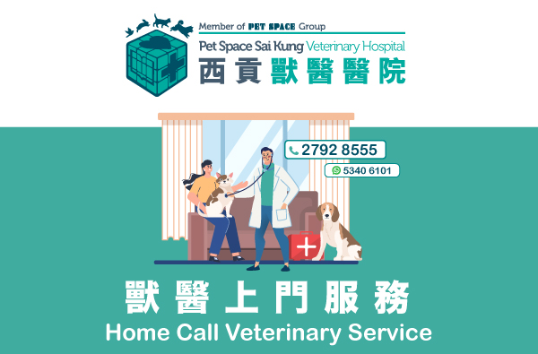 獸醫上門服務 Home Call Veterinary Service
